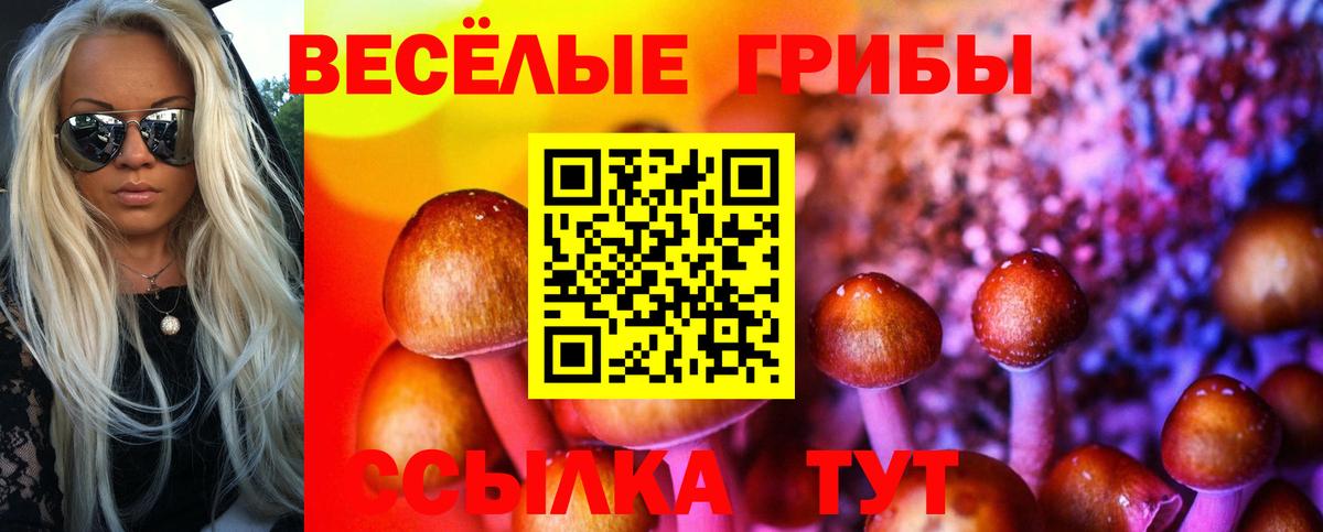 Галлюциногенные грибы ЛСД  Вход с VPN  Джанкой 